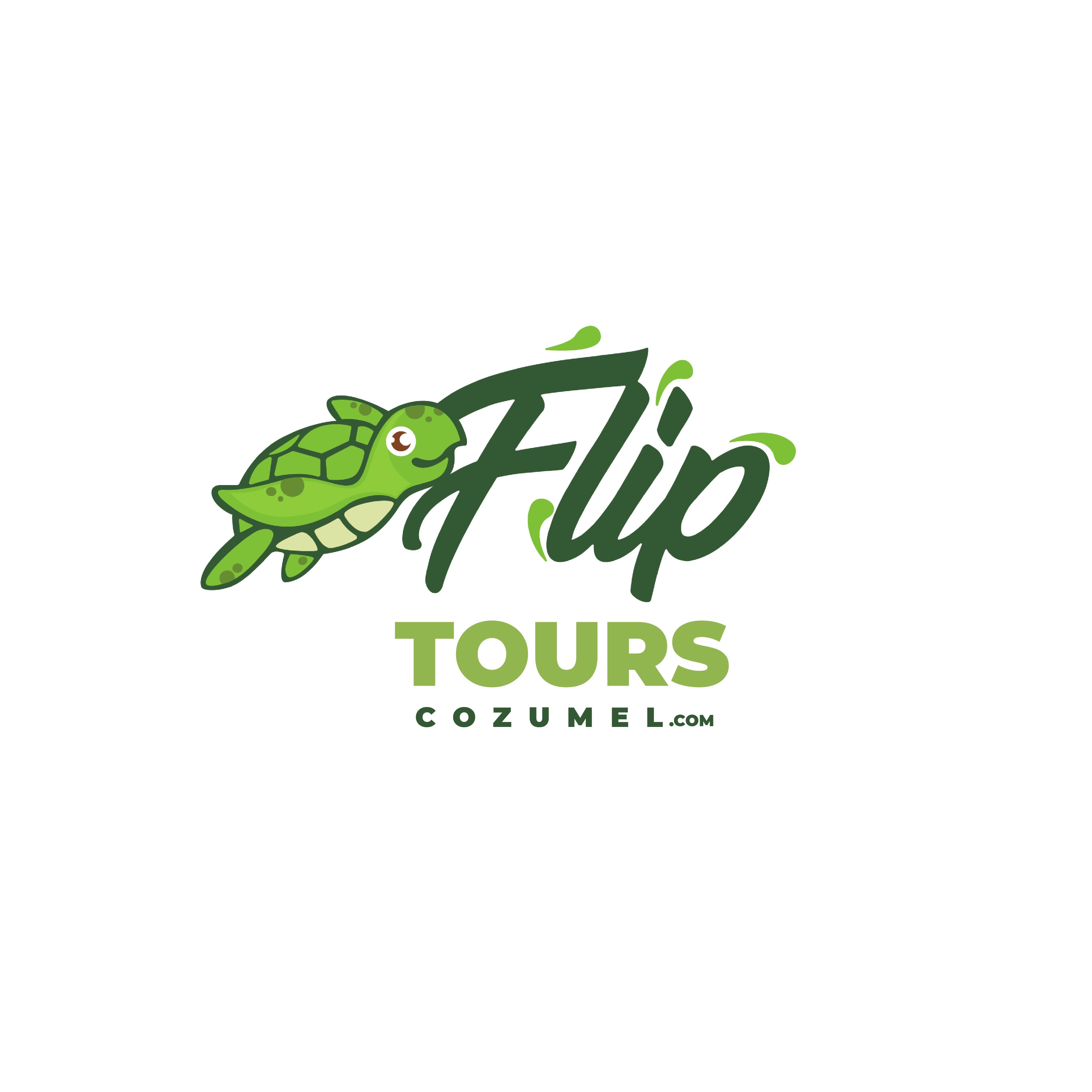 Fliptourscozumel